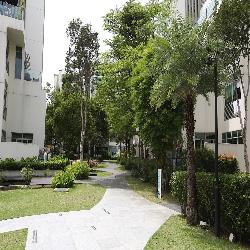 Glentrees (D10), Condominium #49834272